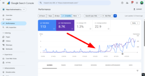 Local SEO Project Search console live report