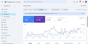 USA health Releted Website SEO success Story - Search console data | SEO Expert Tanvir Hushan 